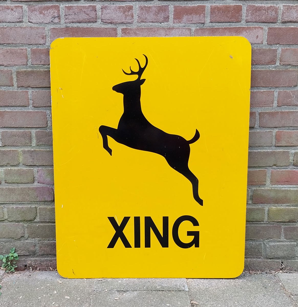 Deer Xing Verkeersbord -76 x 61cm - Origineel